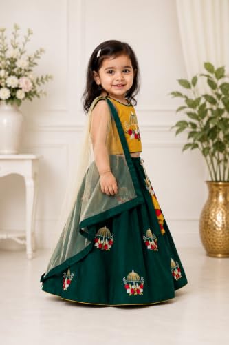 Suzvan Girls Traditional Embroidered Lehenga Choli Dress with Dupatta For baby Girls Dress(8-9 Years)