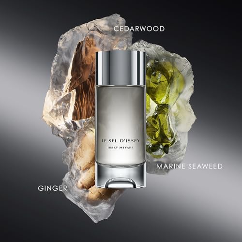 Issey Miyake Le Sel D'Issey EDT 100 ML