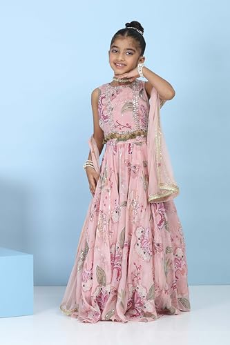 Biba Girls Pink Viscose Organza Printed Regular Lehenga Set_14-15Y