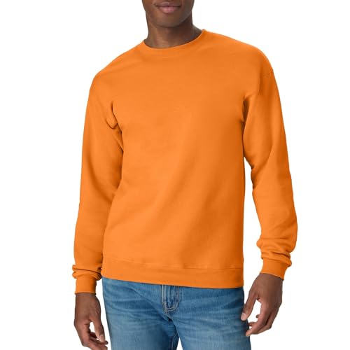Hanes Men's EcoSmart Fleece Sweatshirt