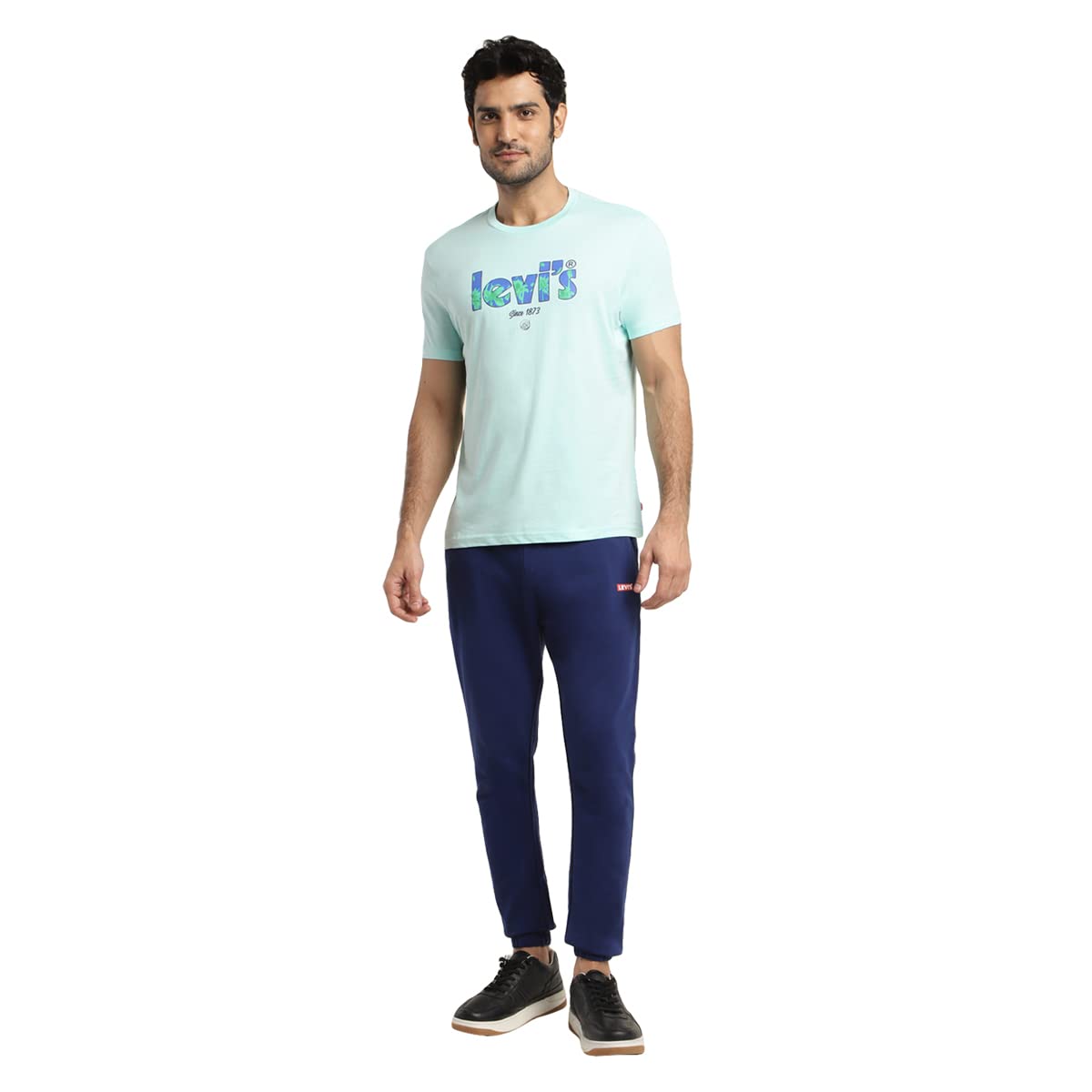 Levi's Men's Graphic Regular Fit T-Shirt (16960-0929_Light Blue M)