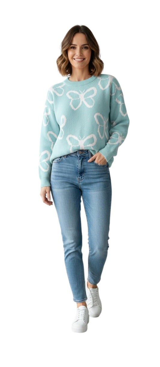 Aarika Women Winter Wear Sky Blue Colour Woolen Butterfly Sweater-(S-L)-(TP-W-WL-MD-07-SKY-BLUE-L)