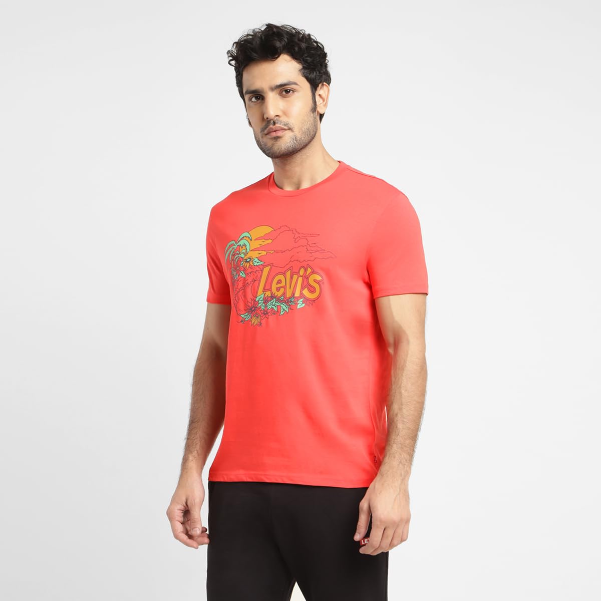 Levi's Men's Graphic Regular Fit T-Shirt (16960-0932_Poppy Red L)