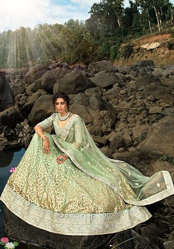 Prasheem Fashion Women's Net Lehenga Choli with Heavy Sequence Work and Dupatta Designer