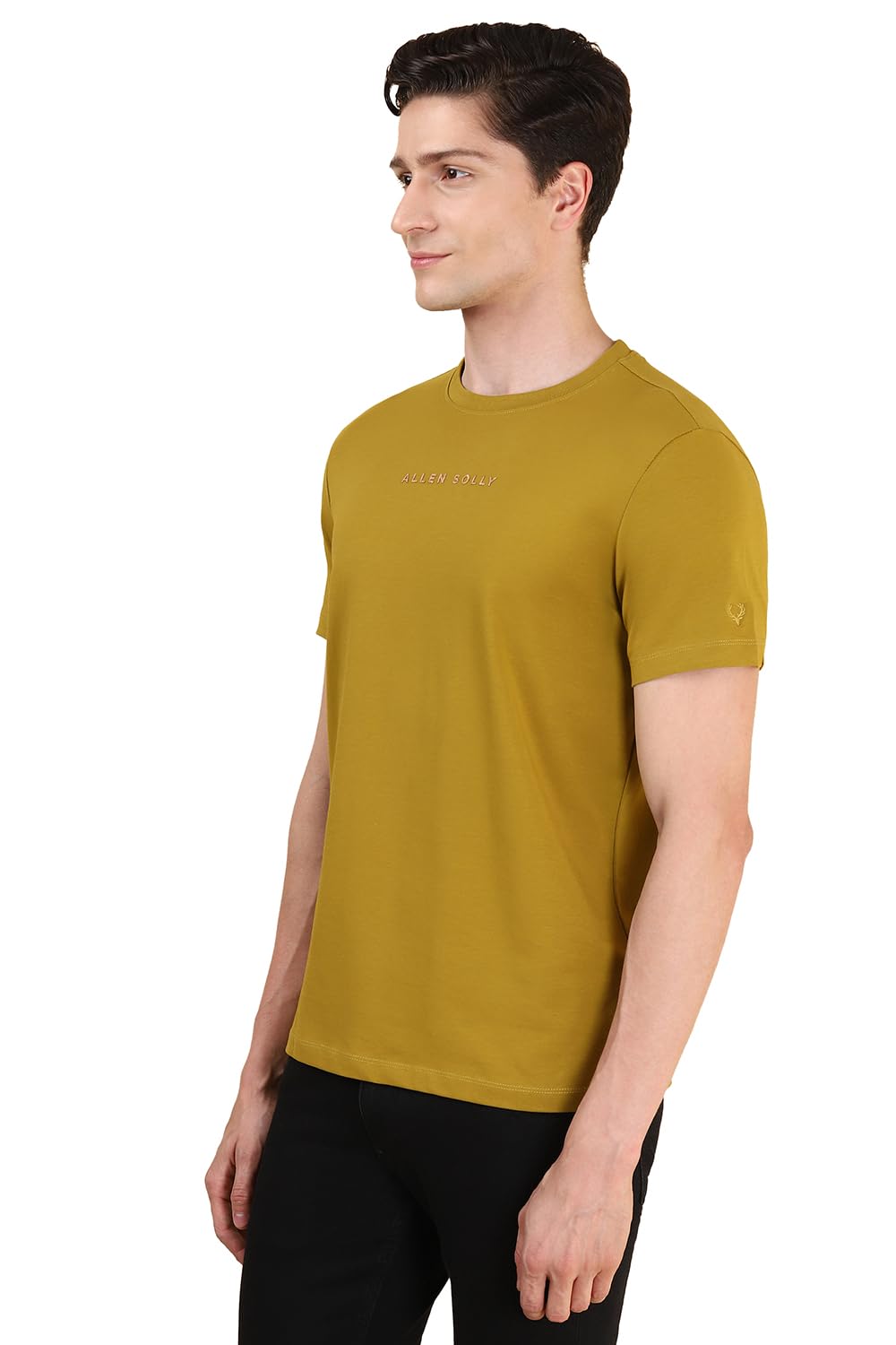 Allen Solly Men Khaki Solid Crew Neck T-Shirt