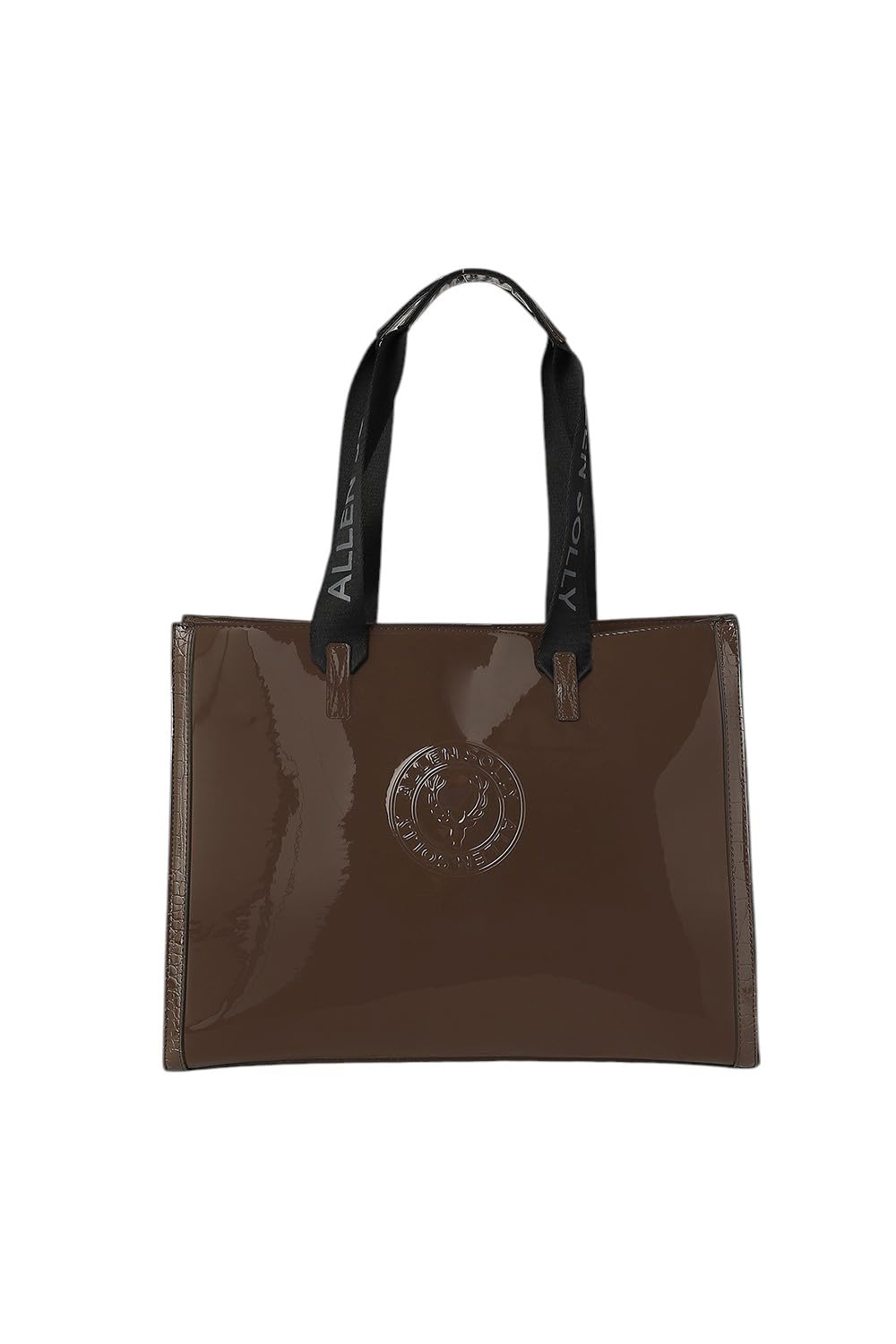 Women Brown Formal Handbag