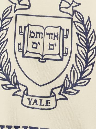 Women Boxy Fit Chenille Embroidered Sweatshirt (Beige_XS)