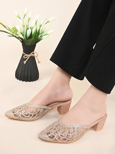 XE Looks Women's Gold Embellished Mesh Mules | Pointed Toe Block Heels with Rhinestone Detailing | Embellishments with Transparent Heel For Girls & Women