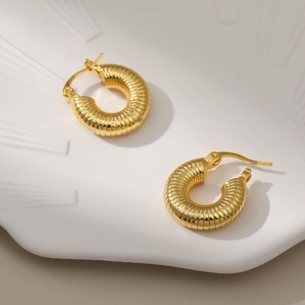 Aaishwarya 18k Gold-Plated Hoop Earrings anti tarnish & waterproof for Women and Girls