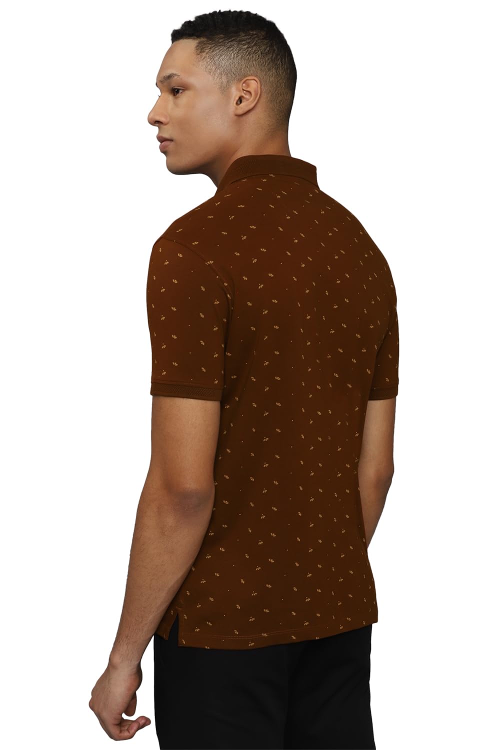 Allen Solly Men's Cotton Solid Regular Fit T Shirt (Askpcurgfl86912_Maroon L)