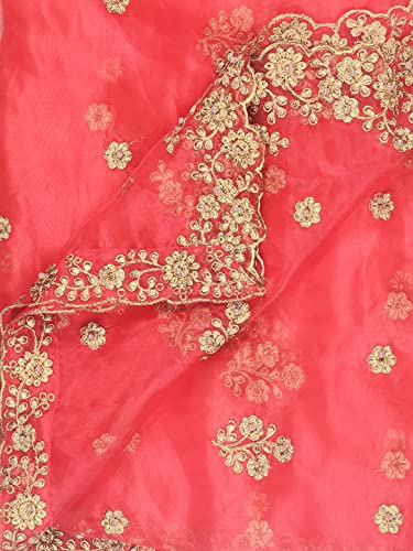 DUPATTA BAZAAR Women's Embroidered Red Glass Tissue Dupatta