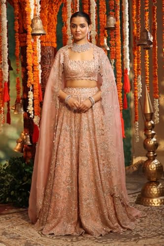 Women's Embellished Organza Lehenga with Sequins and Zardozi work