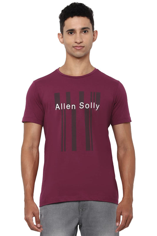Allen Solly Men's Regular T-Shirt (ALKCVSGF707146_Maroon L)