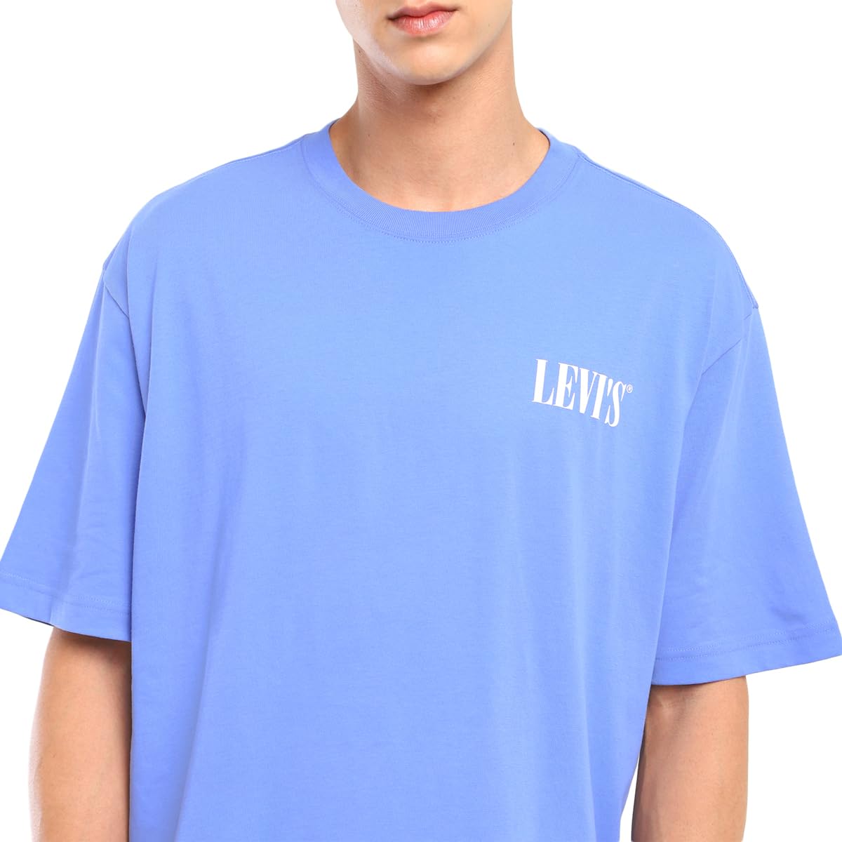 Levi's Men's Solid Loose Fit T-Shirt (A7900-0008_Blue