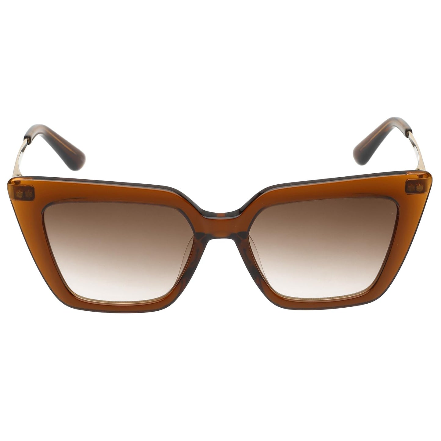 Calvin Klein|Brown Full Frame Cat-eye Sunglasses|100% UV Protected (Uv 400) Brown Gradient Faded Lens|Women's|Medium|CK 22516 261 54 S