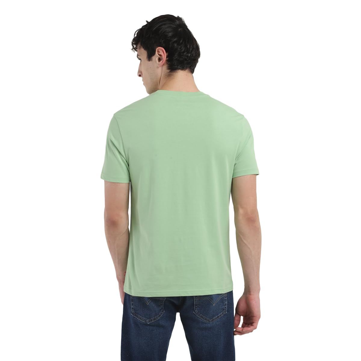 Levi's Men's Regular Fit T-Shirt (16960-1166_Green