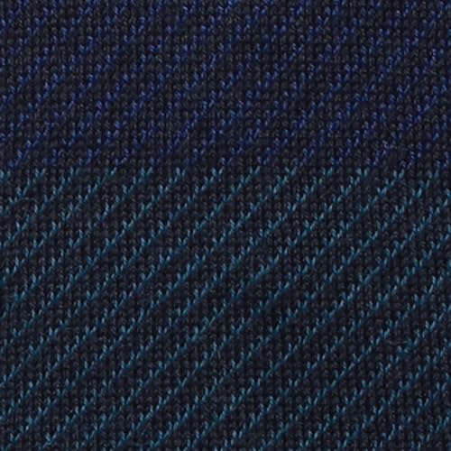 Park Avenue Men's Regular Fit Acrylic Wool Blend Full Sleeve V Neck Stripe Pattern Fancy Blue Casual Sweater (Size: XS)-PCWA00268-B9