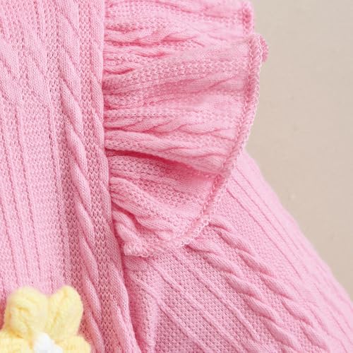 Hopscotch Girls Full Sleeves Pink Floral Applique Bodysuit For Ages (9-12 Months)