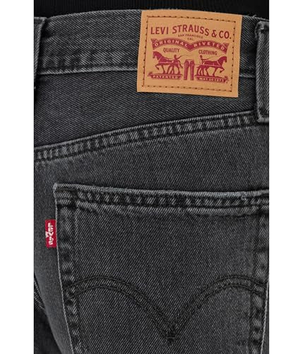 Levi's Women's 94 Baggy Wide Leg Jean (Also Available in Plus), (New) Wandering Spirit (Non-stretch), 24