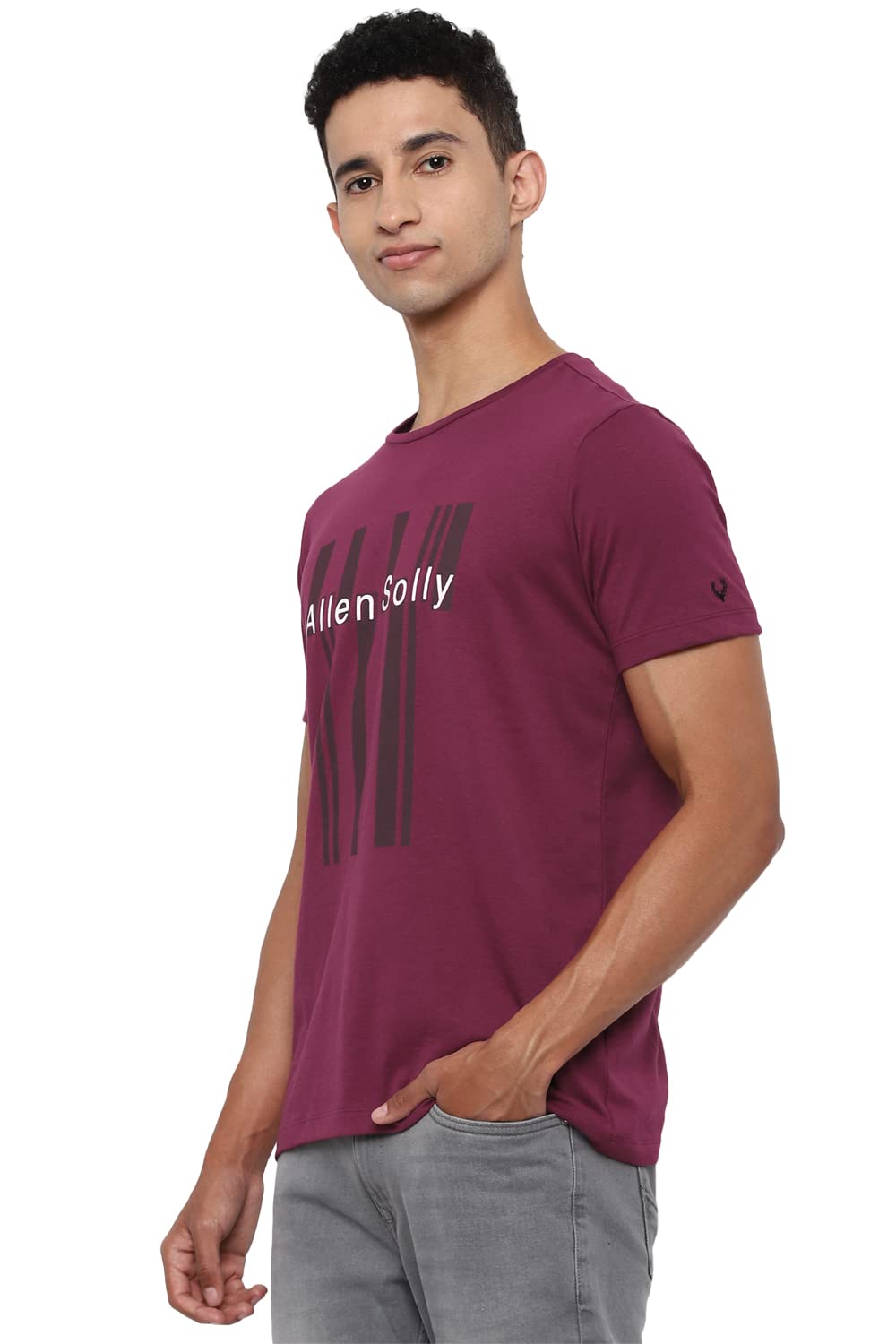 Allen Solly Men's Regular T-Shirt (ALKCVSGF707146_Maroon L)