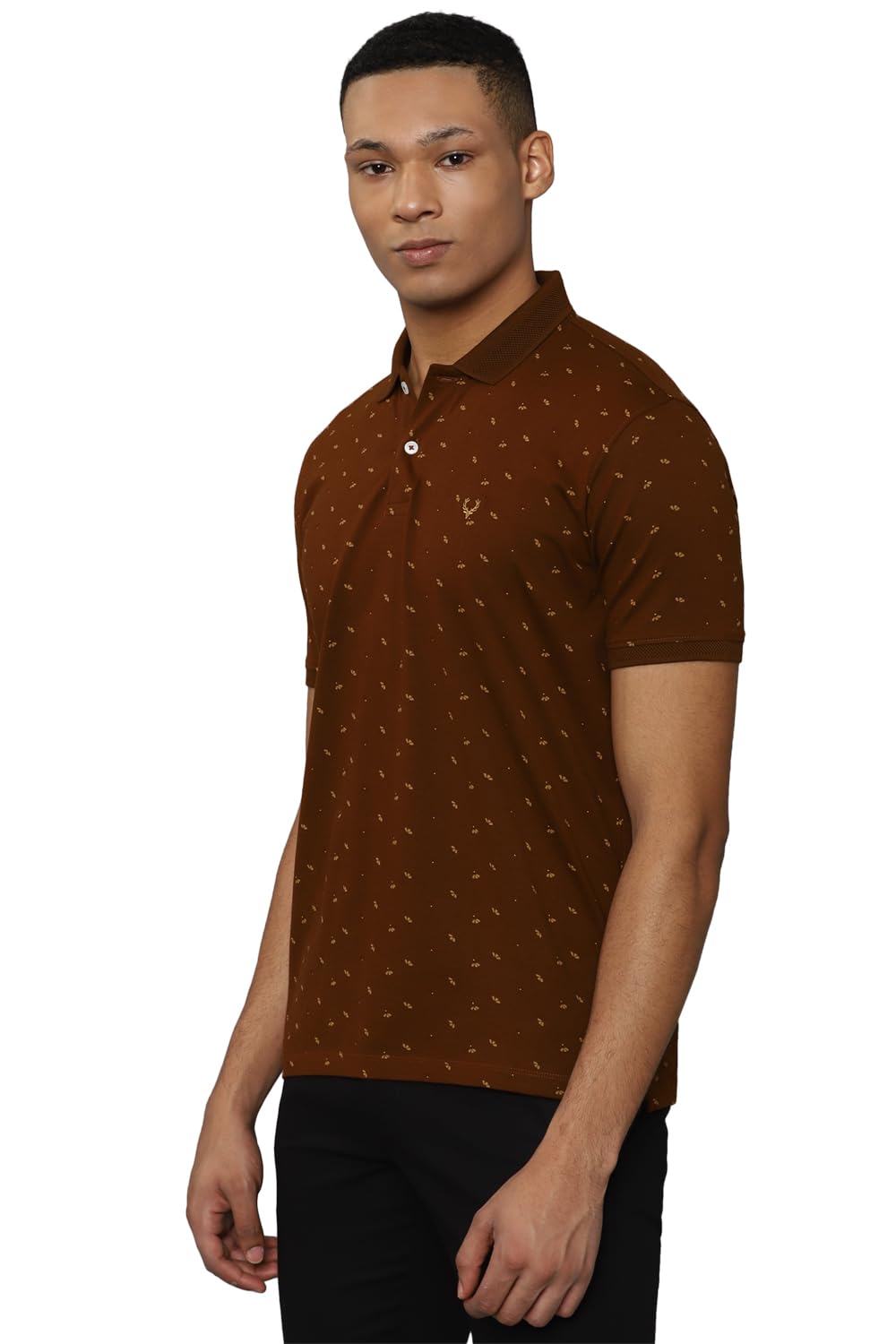 Allen Solly Men's Cotton Solid Regular Fit T Shirt (Askpcurgfl86912_Maroon L)