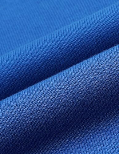 U.S. Polo ASSN. Women Relaxed Fit Solid Sweater (UWAW25SWE200_Bright Blue_L)