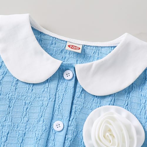 Hopscotch Girls Blue Full Sleeves Floral Applique A-line Dress for Age (6-7 Years)