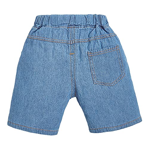 Hopscotch Boys Cotton Printed Animal Print T-Shirt Shorts Set In Orange Color for Ages 4-5 Years