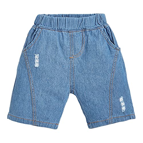 Hopscotch Boys Cotton Printed Animal Print T-Shirt Shorts Set In Orange Color for Ages 4-5 Years