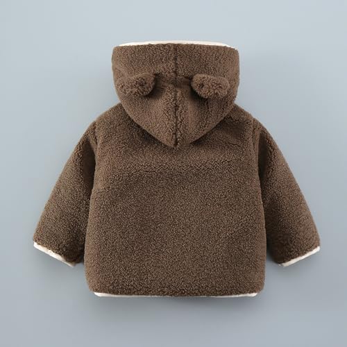 Hopscotch Boys Full Sleeves Brown 3D Teddy Applique Hooded Jacket For Ages (3-4 Years)