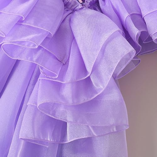 Hopscotch Girls Lilac Short Sleeves Sequined Ruffle Party Dress for Age (4-5 Years)
