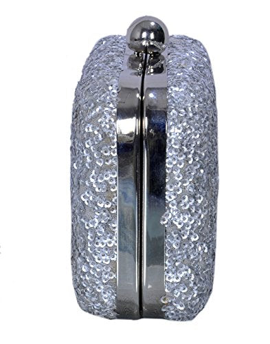 DUCHESS Women Silver Box Clutch