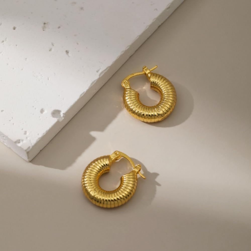 Aaishwarya 18k Gold-Plated Hoop Earrings anti tarnish & waterproof for Women and Girls