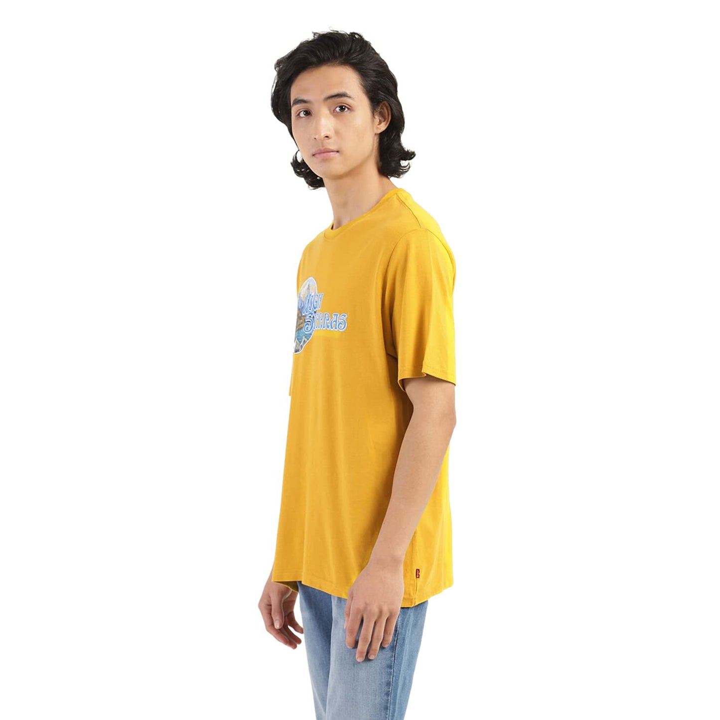 Levi's Men's Graphic Relaxed Fit T-Shirt (16143-0330_Mustard Yellow XL)