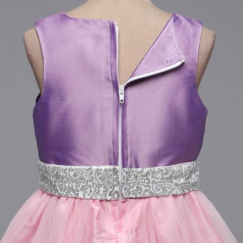 Hopscotch Girls Sleeveless Purple Sequin Embellished Party Dress (12-24 Months)