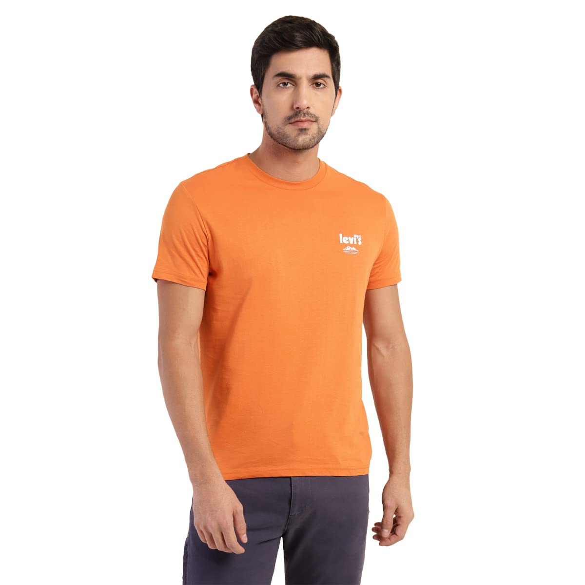 Levi's Men's Solid Regular Fit T-Shirt (16960-0900_Burnt Orange S)