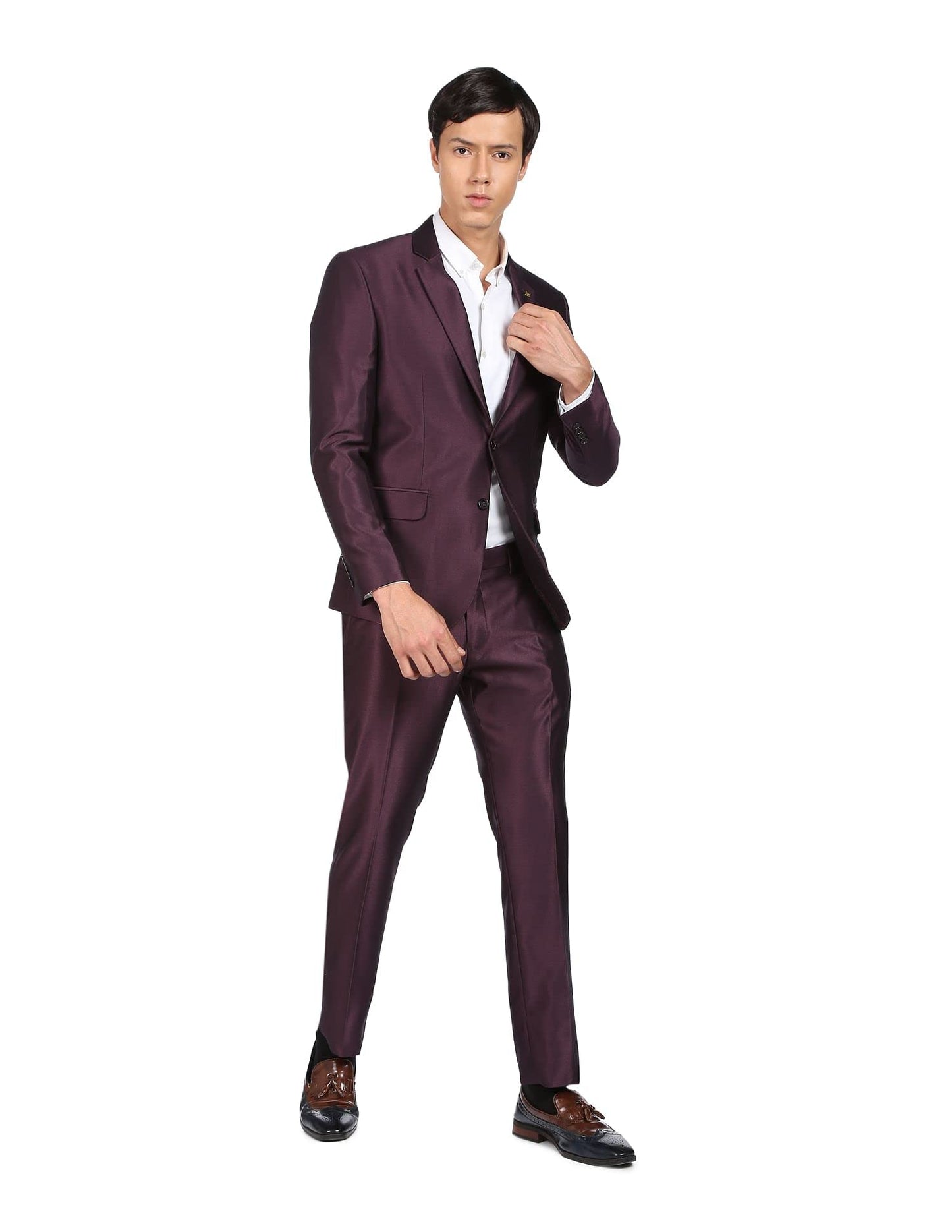 Arvind Men Wine Single Breasted Two Piece Suit