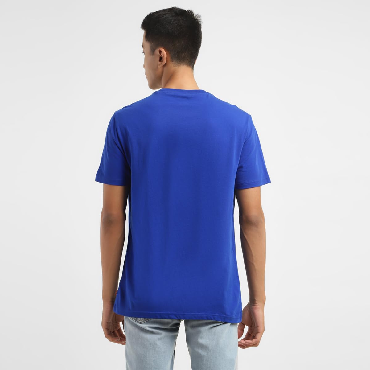 Levi's Men's Regular Fit T-Shirt (16960-1080_Blue