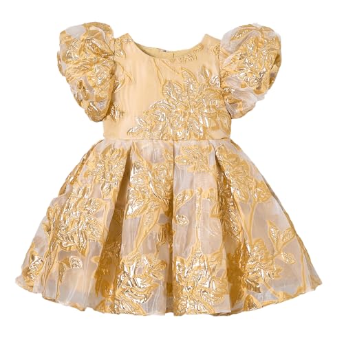 Hopscotch Girls Gold Short Sleeves Floral Textured Dress for Age (18-21 Months)