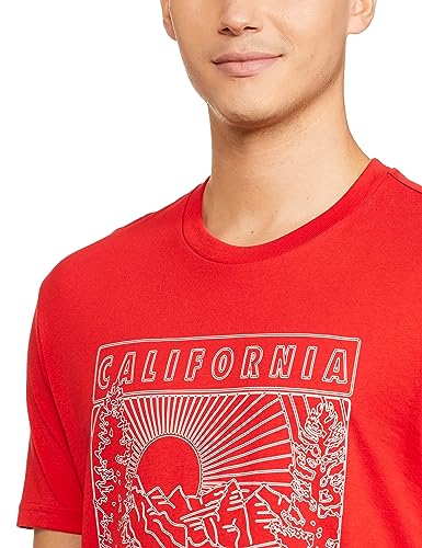 Levi's Men's Regular Fit T-Shirt (16960-1078_Red