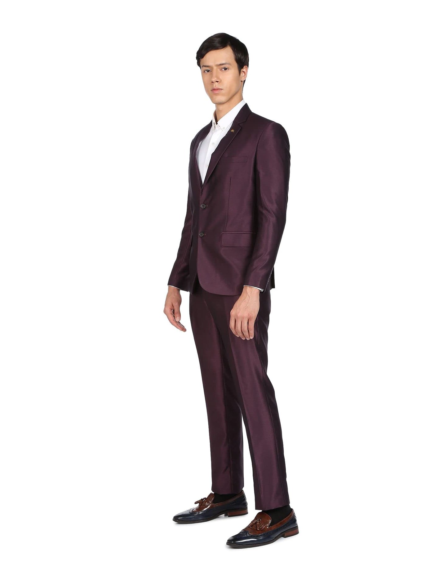 Arvind Men Wine Single Breasted Two Piece Suit