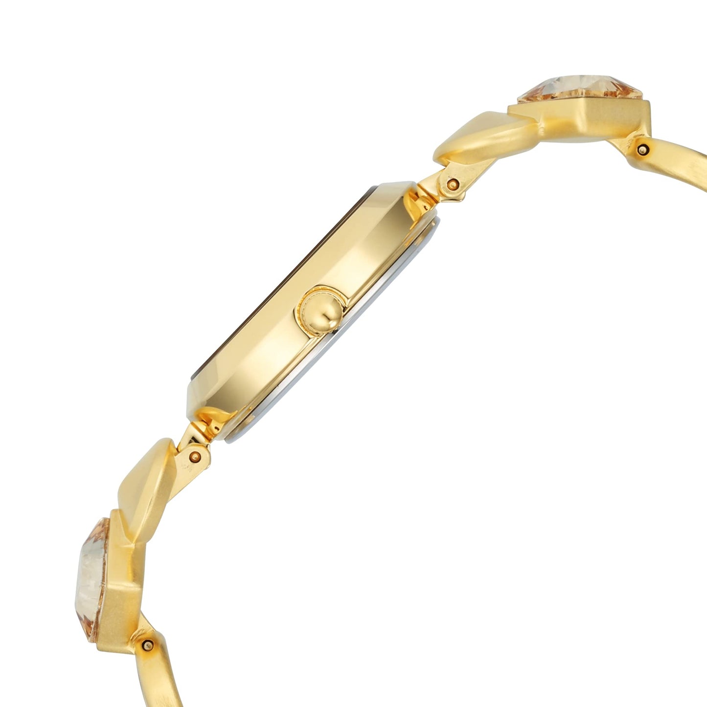 Titan Raga Love All Quartz Analog Silver Dial Gold Metal Strap Watch for Women - NT2606YM08