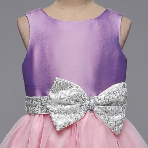 Hopscotch Girls Sleeveless Purple Sequin Embellished Party Dress (12-24 Months)