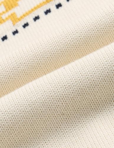 U.S. POLO ASSN. Patterned Knit Regular Fit Sweater (UWAW25SWE214_White_S)