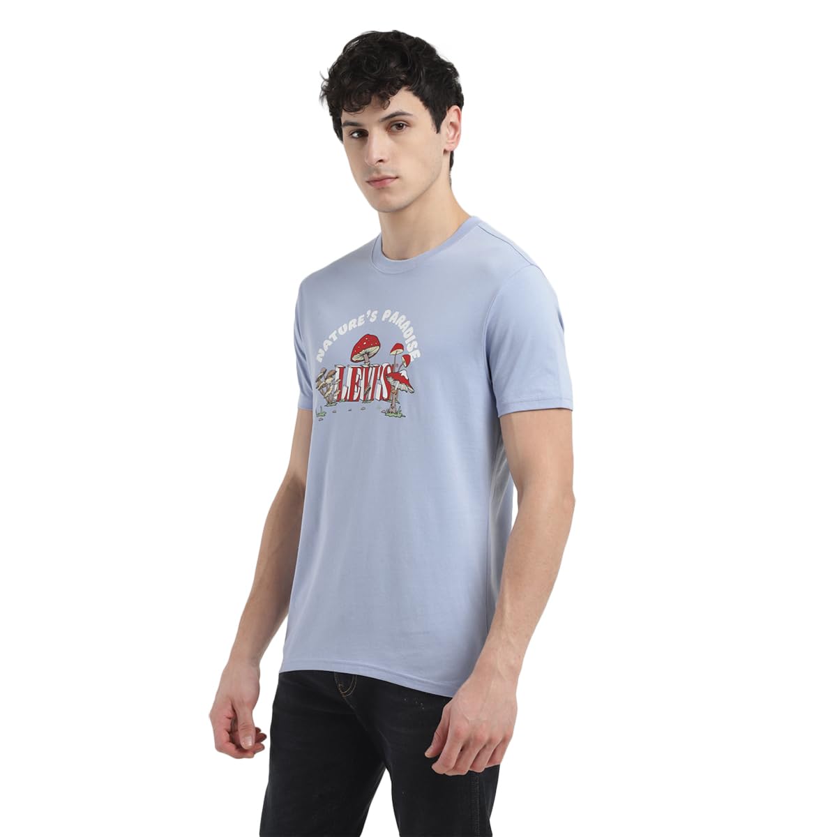 Levi's Men's Regular Fit T-Shirt (16960-1190_Blue