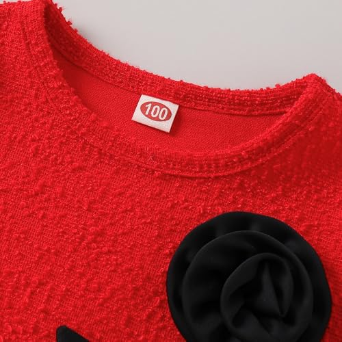 Hopscotch Girls Red Full Sleeves Floral Applique Drop Waist Dress for Age (3-4 Years)