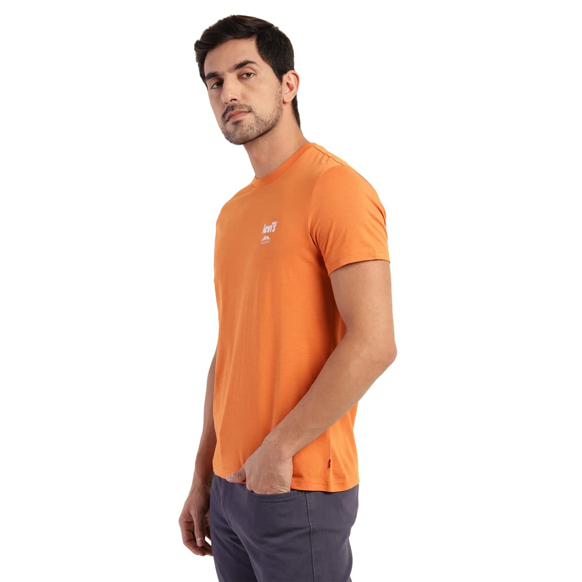 Levi's Men's Solid Regular Fit T-Shirt (16960-0900_Burnt Orange S)