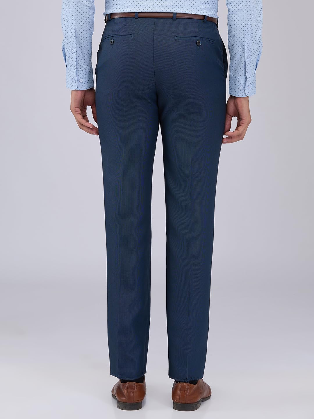 Park Avenue Men Regular Fit Structure Pattern Poly Viscose Blend Mid Rise Flat Front Formal Trouser (Size: 32)-PMTX07634-P8, Blue