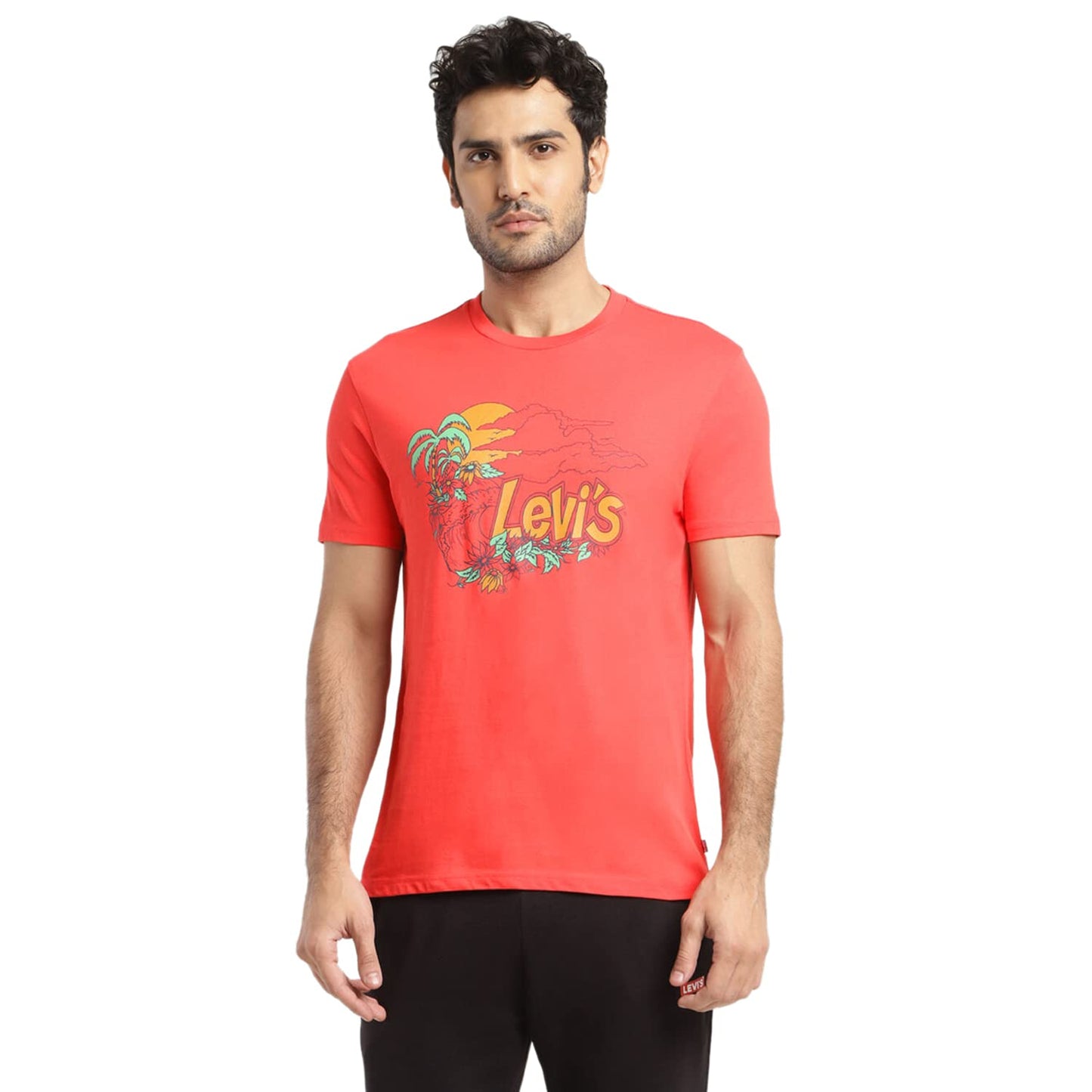 Levi's Men's Graphic Regular Fit T-Shirt (16960-0932_Poppy Red L)