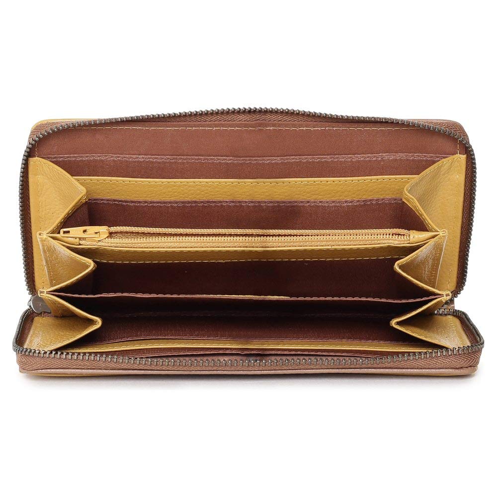 Fastrack Women's wallet (Brown)